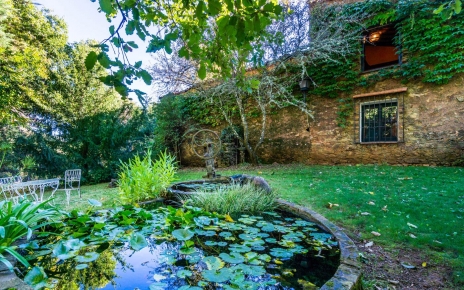 Estanque de jardín (50-60 cm de profundidad)